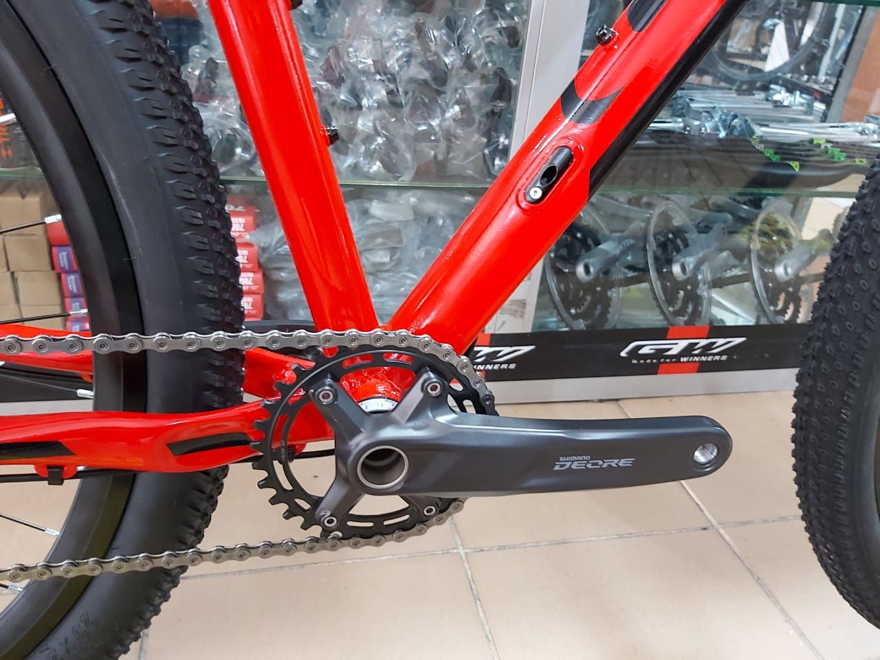 GW OCELOT 2021 - Imagen 2