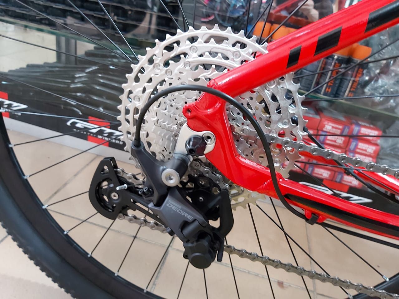 GW OCELOT 2021 - Imagen 3